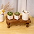 Wood Trays and Risers
